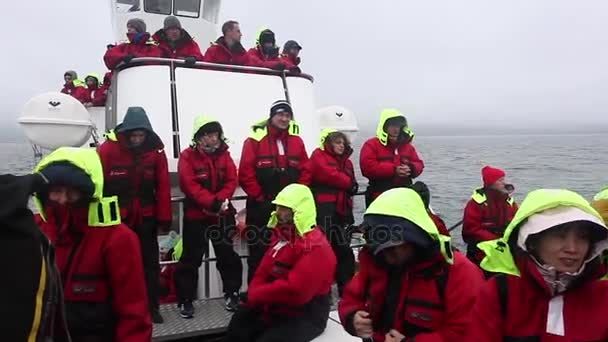 Husavik Ijsland Augustus 2017 Toeristen Een Walvisspottocht Een Kleine Speedboot — Stockvideo