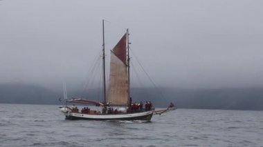 Husavik, İzlanda - 15 Ağustos 2017: Yelkenli takımı ve turistler balina izleme yolculuğuna başladı.