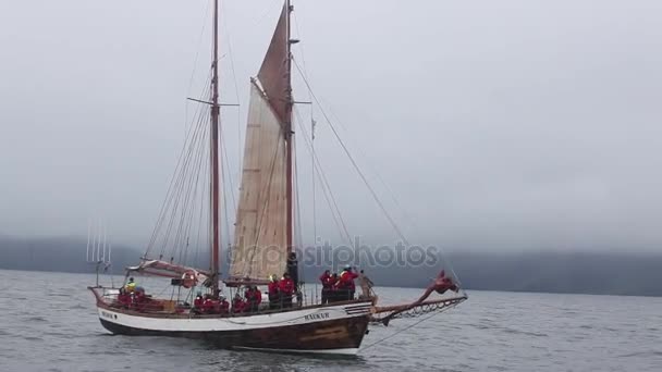 Husavik Island Aug 2017 Båt Med Segling Team Och Turister — Stockvideo