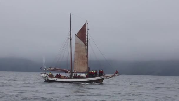 Husavik Island Aug 2017 Båt Med Segling Team Och Turister — Stockvideo