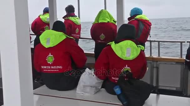 Husavik Islândia Agosto 2017 Turistas Passeio Observação Baleias Pequeno Barco — Vídeo de Stock