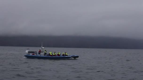 Husavik Zlanda Ağustos 2017 Yelkenli Takımı Turistler Balina Izleme Yolculuğuna — Stok video