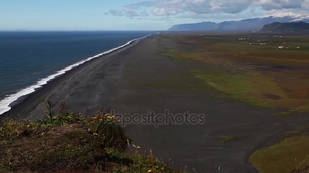 Mar Islandia Con Arena Negra Rocas — Vídeos de Stock