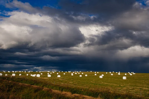 Champ avec rouleaux de foin, nature islandaise — Photo