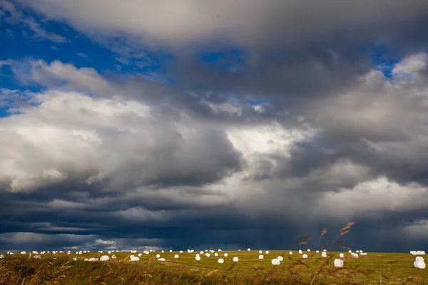 干し草をフィールド ロール、アイスランドの自然 — ストック写真