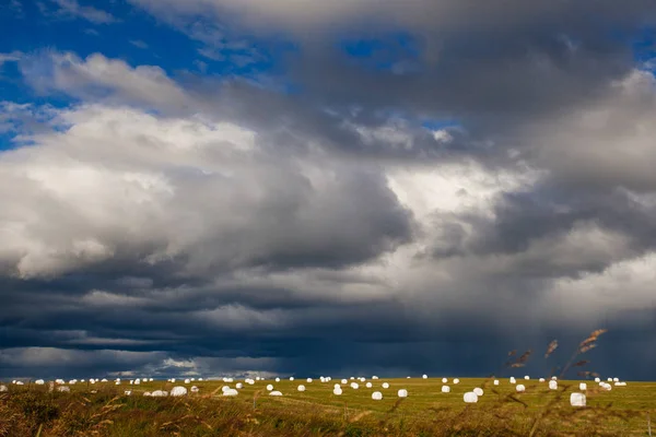 Campo con rollos de heno, naturaleza islandesa — Foto de Stock