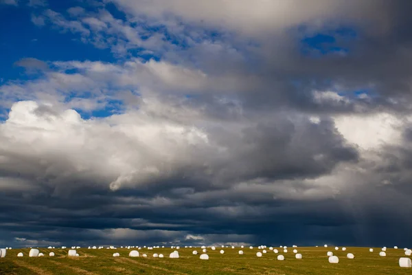 Campo con rollos de heno, naturaleza islandesa — Foto de Stock