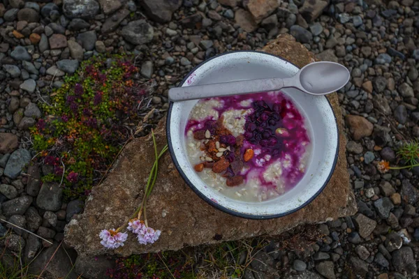 Café da manhã na natureza - vida selvagem com porrige e berrie fresco — Fotografia de Stock