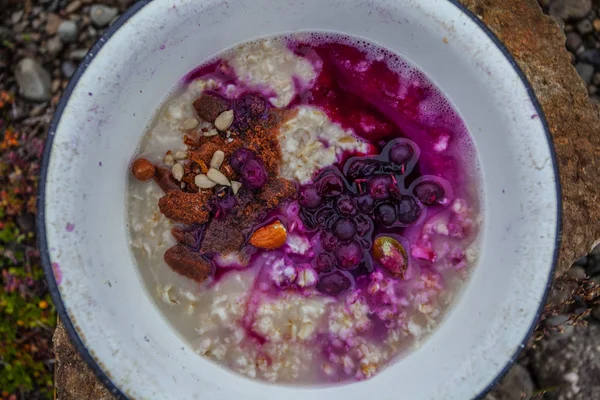 Café da manhã na natureza - vida selvagem com porrige e berrie fresco — Fotografia de Stock