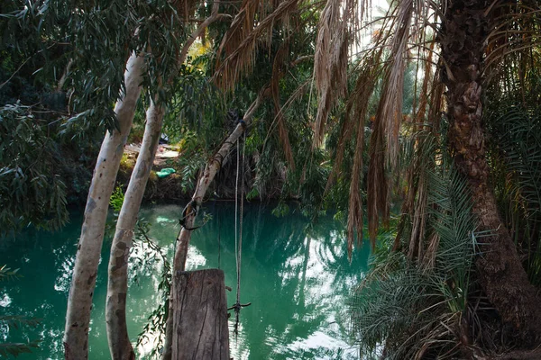 Río Jordán Con Paisaje Tropical Israel — Foto de Stock