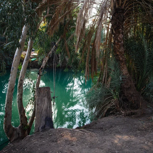 Jordan River Tropical Landscape Israel — Stock Photo, Image