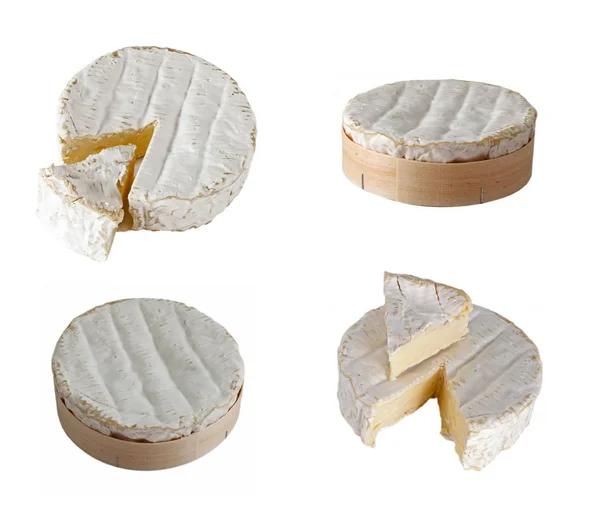 Brie queijo definido no fundo branco — Fotografia de Stock