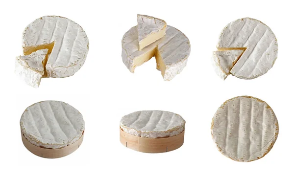 白を基調としたチーズブリー — ストック写真