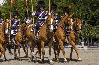 Brüksel, Belçika - 20 Mayıs 2018: Belçika Süvarileri kirletmeye başladı 