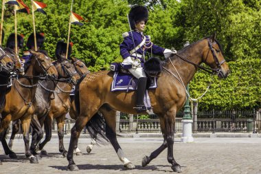 Brüksel, Belçika - 20 Mayıs 2018: Belçika Süvarileri kirletmeye başladı 