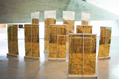 Tel Aviv, İsrail - 15 Aralık 2018: Modern sanat eserleriyle dolu bir oda, Tel Aviv, İsrail