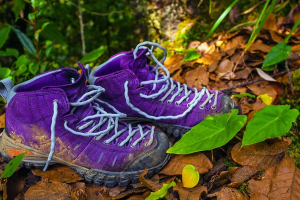 Zapatos de trekking violeta en la naturaleza. Nepal —  Fotos de Stock