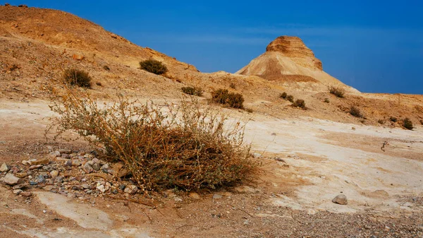 Judeeërs (Judeeërs) Woestijnlandschap, Israël — Stockfoto