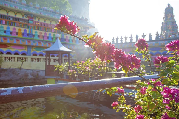 Vackra Hindu Tempel Nära Bat Och Villa Grottor Kuala Lumpur — Stockfoto