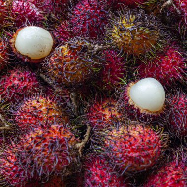 Malezya 'da pazarda taze Rambutan egzotik meyvesi 