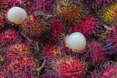 Malezya 'da pazarda taze Rambutan egzotik meyvesi 