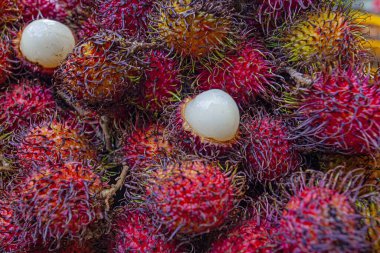 Malezya 'da pazarda taze Rambutan egzotik meyvesi 