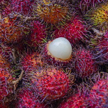 Malezya 'da pazarda taze Rambutan egzotik meyvesi 