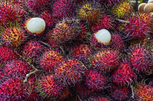 Malezya 'da pazarda taze Rambutan egzotik meyvesi 
