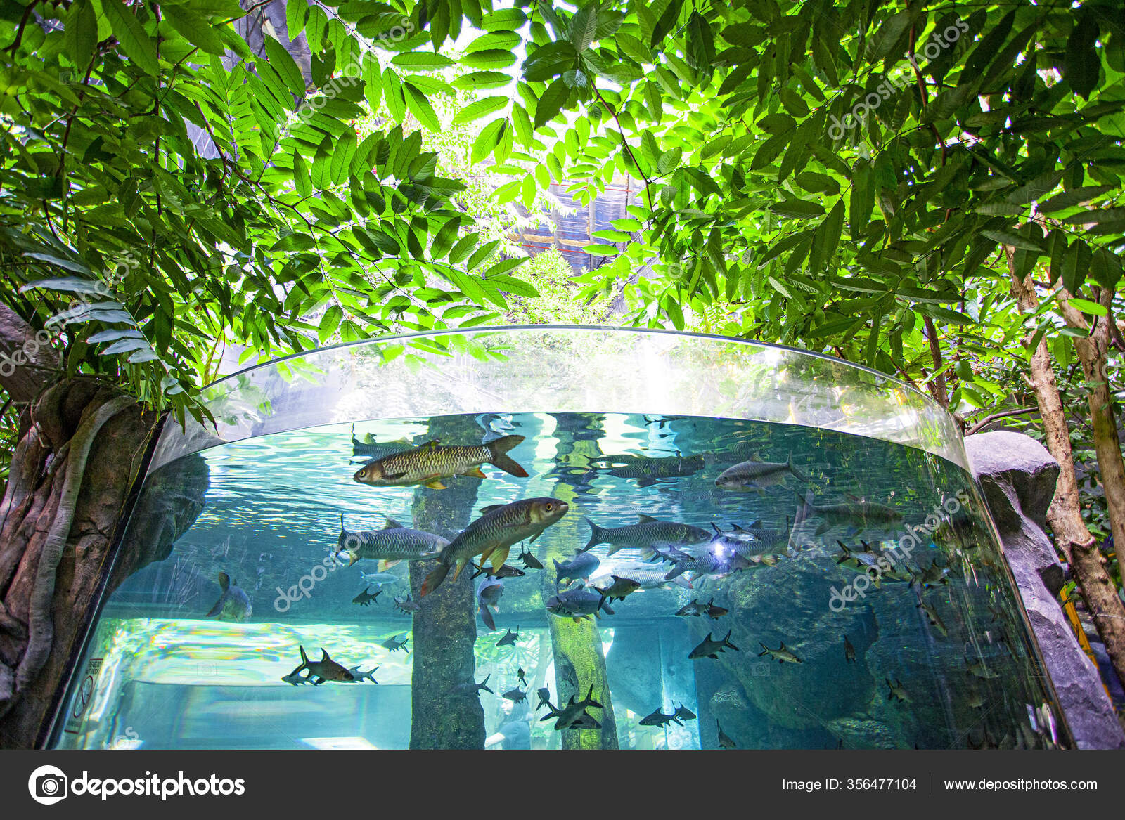 Large Aquarium Oceanarium Langkawi Island Malaysia — Stock Photo