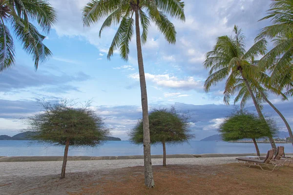 Яркие Цвета Природы Утро Пляже Pantai Cenang Остров Лангкави Малайзия — стоковое фото