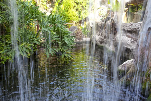 Beautiful Waterfall Oceanarium Langkawi Island Malaysia — Stock Photo, Image