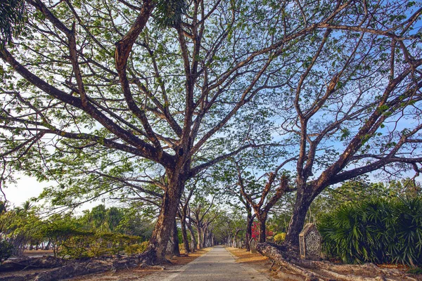 Beautiful Park Legenda Kuah Isla Langkawi Malasia — Foto de Stock