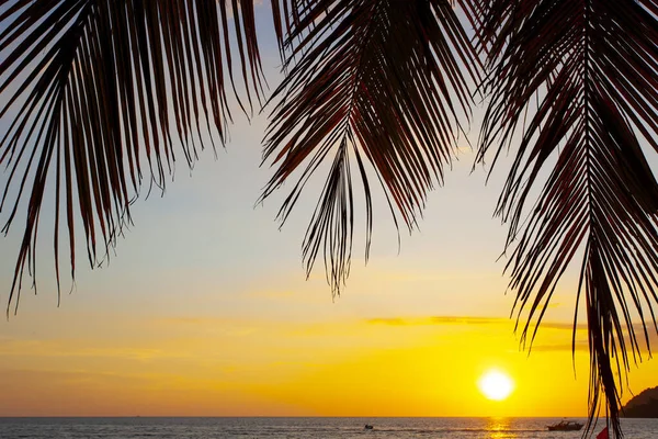 Palmen Zonsondergang Hemel Genomen Het Langkawi Eiland Maleisië — Stockfoto