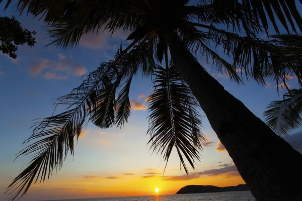 Palmen Und Der Himmel Bei Sonnenuntergang Auf Der Insel Langkawi — Stockfoto