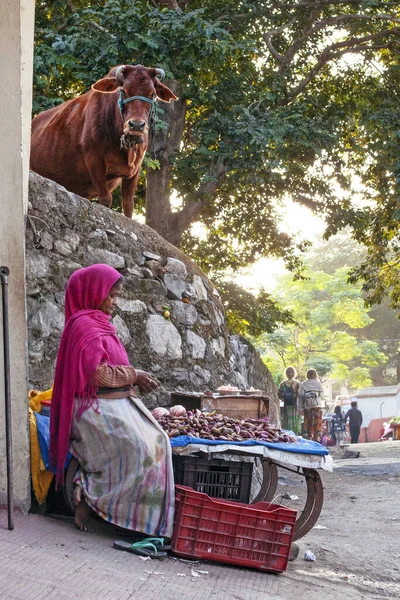 インド ウッタラーカンド州リシケッシュ2019年12月1日 インドの伝統的なサリーを着た女性がリシケッシュ通りで野菜を売る — ストック写真