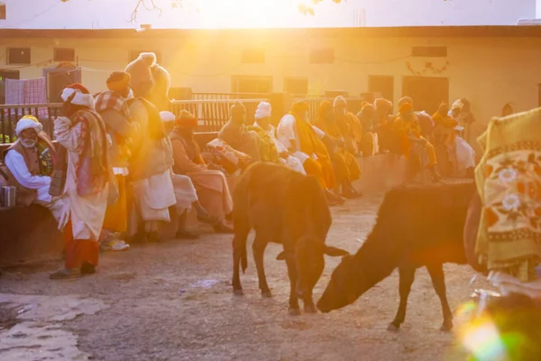 Rishikesh Uttarakhand India Grudnia 2019 Indyjscy Mnisi Wyznawcy Hinduizmu Sadhu — Zdjęcie stockowe