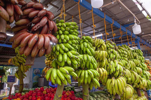 Assortiment Des Différents Types Bananes Kerala Inde — Photo