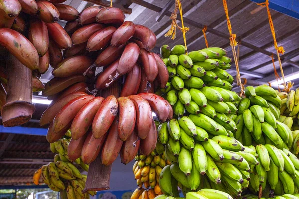 Assortiment Des Différents Types Bananes Kerala Inde — Photo