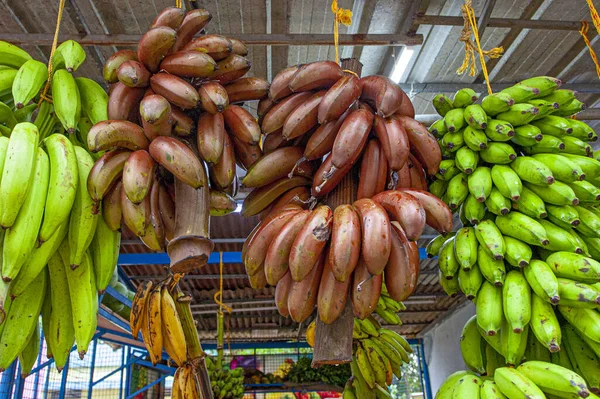 Kerala Hindistan Çeşitli Muz Çeşitleri Vardı — Stok fotoğraf