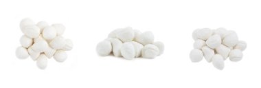 Beyaz peynir çeşitleri.