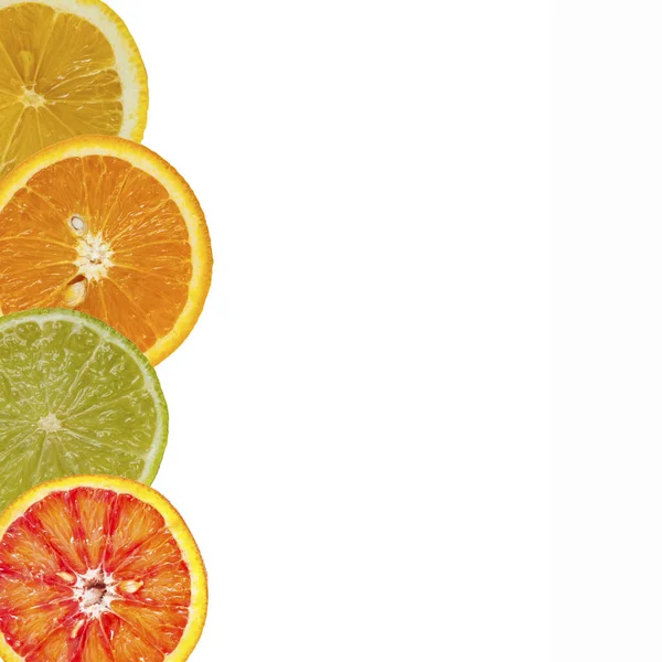 Orangen Zitronen Limetten Und Grapefruitscheiben Isoliert Auf Weiß — Stockfoto