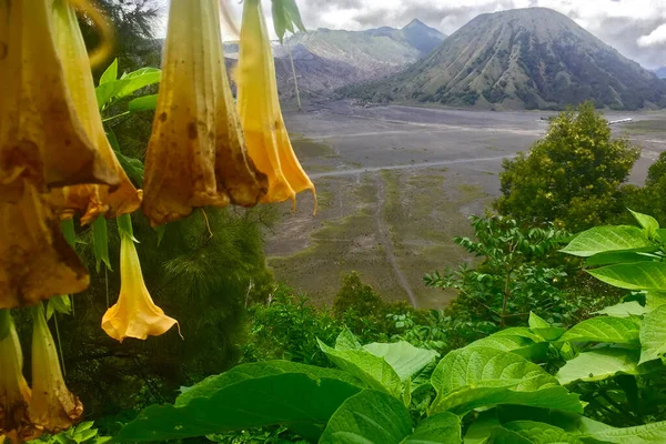 Bromo Volkanı Doğu Java Endonezya Nın Iyi Manzarası — Stok fotoğraf