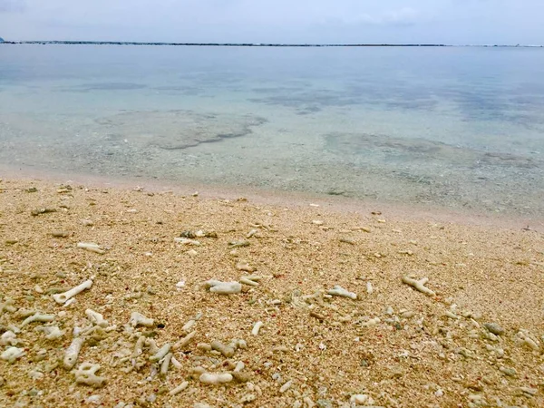 Incroyable Eau Mer Bali Sur Île Gili Meno — Photo