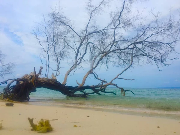 Fantastiskt Bali Sea Vatten Gili Meno Seacost — Stockfoto