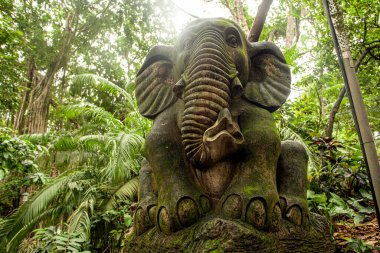 Endonezya, Ubud 'daki Maymun Ormanı Parkı' nın bulvarları ve doğası