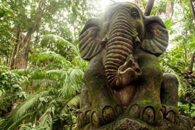 Endonezya, Ubud 'daki Maymun Ormanı Parkı' nın bulvarları ve doğası