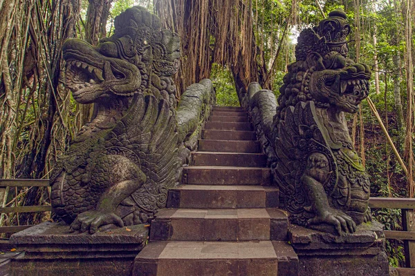 印度尼西亚乌布德猴森林公园的布景和性质 — 图库照片