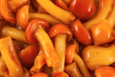 Mantar turşusu, arka plan.