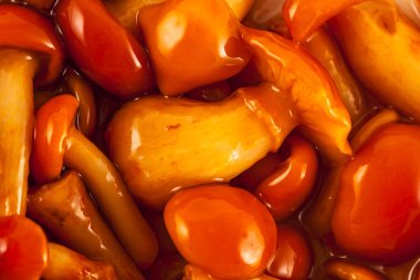 Mantar turşusu, arka plan.