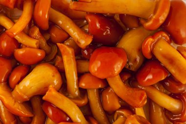 Mantar turşusu, arka plan.